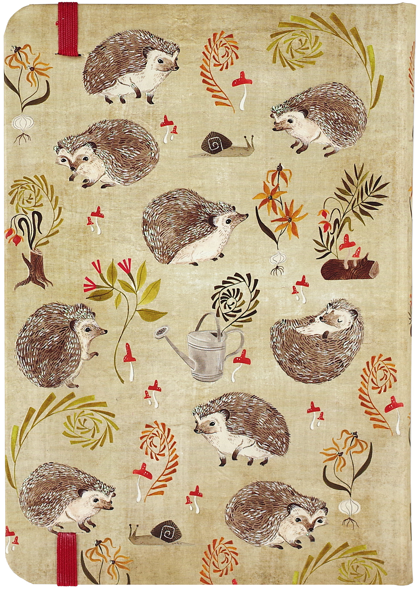 Journal - Hedgehogs