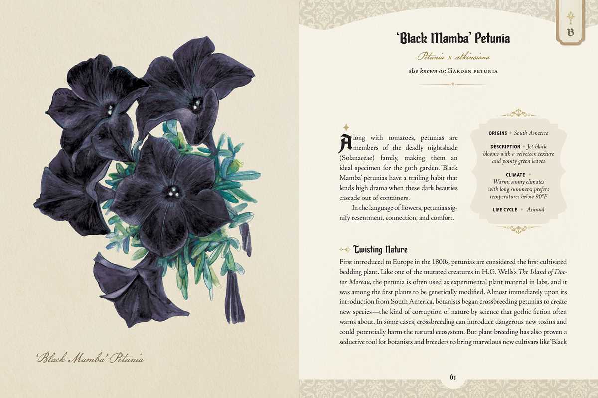 Goth Garden by Felicia Feaster: Hardcover