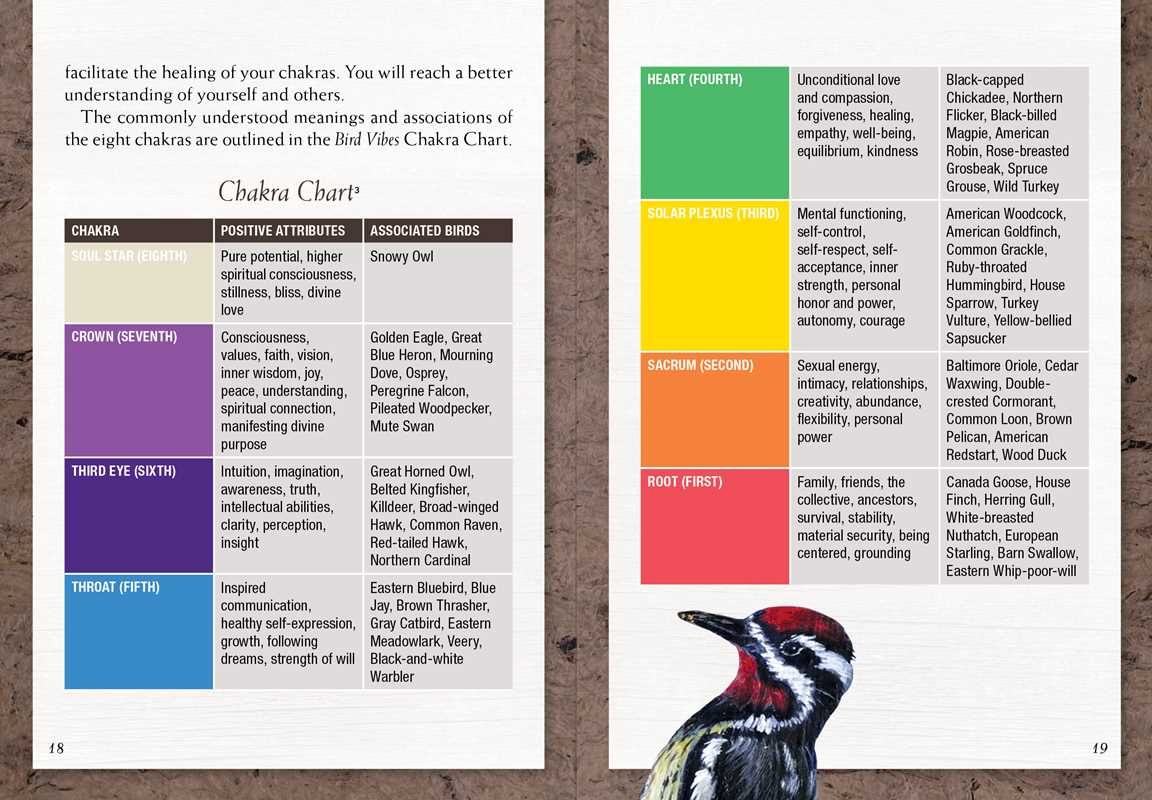 Bird Vibes Meditation Cards by Catherine C. Bastedo: Flashcards; 152 pages / English