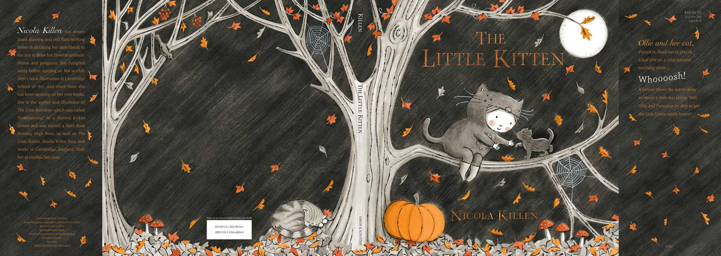 Little Kitten by Nicola Killen: Hardcover