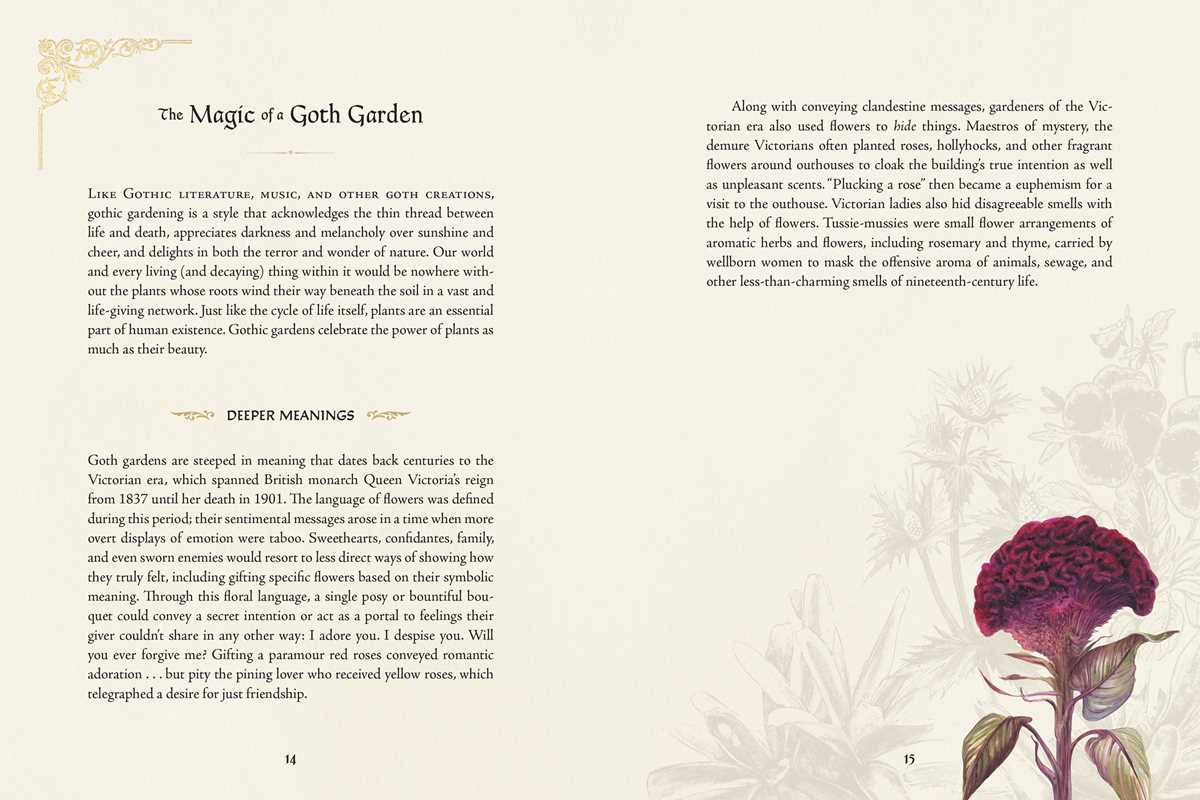 Goth Garden by Felicia Feaster: Hardcover