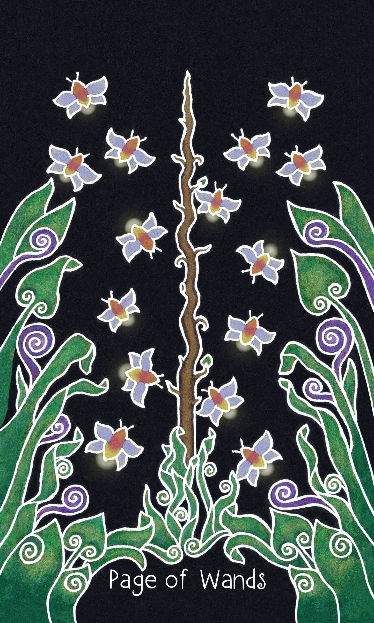 Animystic Tarot (Deck and Guidebook, Box Set)