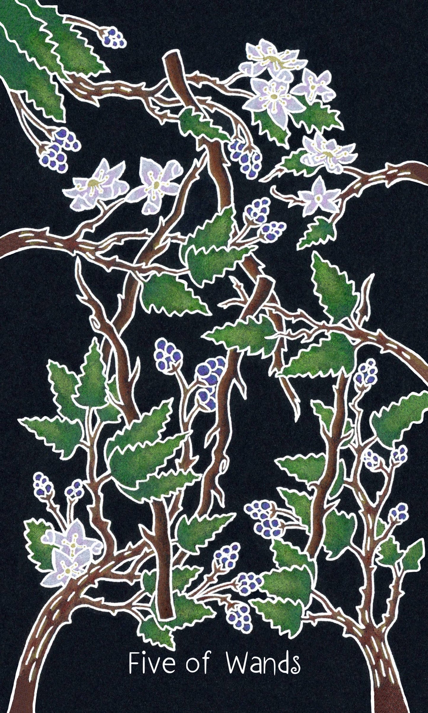 Animystic Tarot (Deck and Guidebook, Box Set)