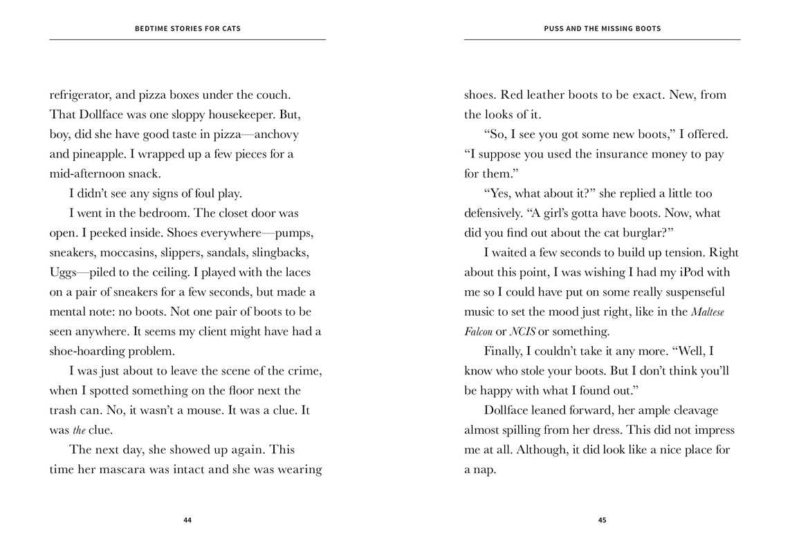 Bedtime Stories for Cats by Leigh Anne Jasheway: Paperback; 96 pages / English