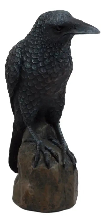 Raven on Branch