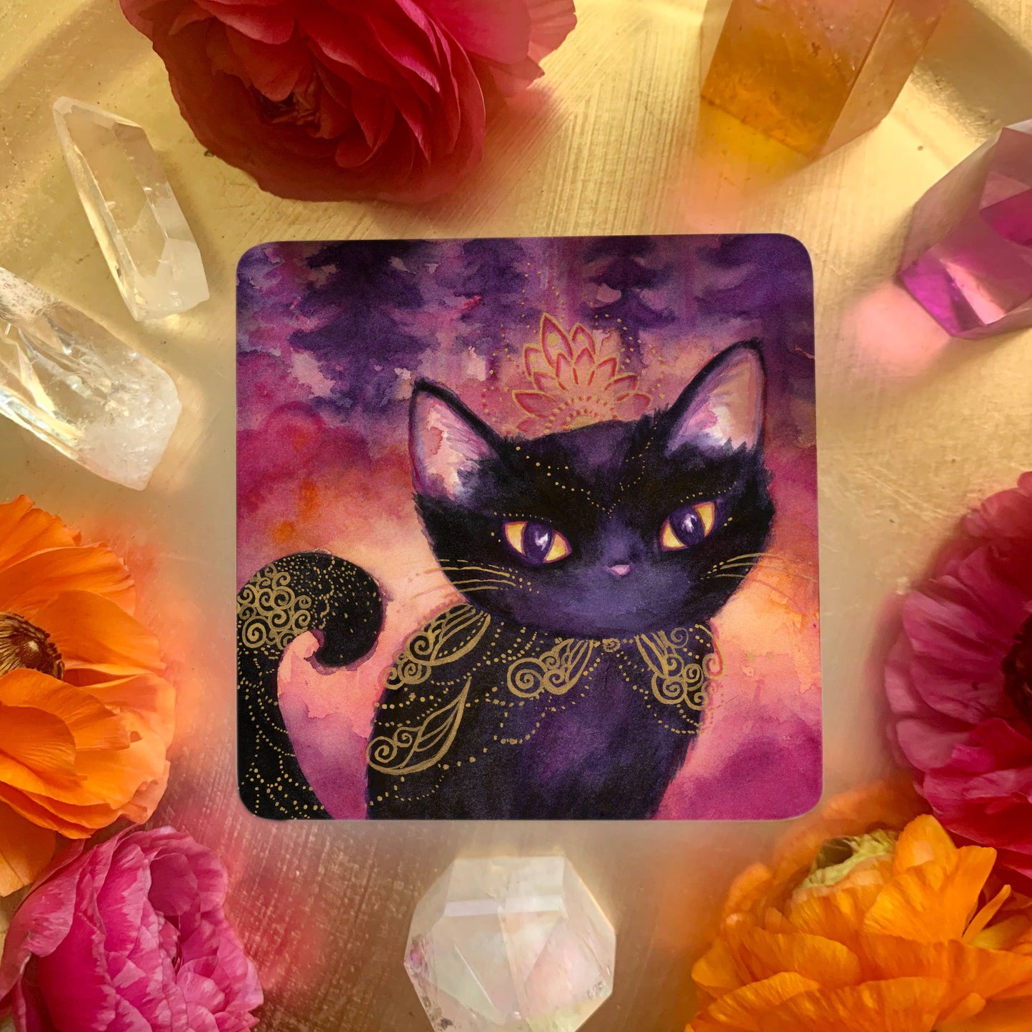 Witch Cats Oracle Deck