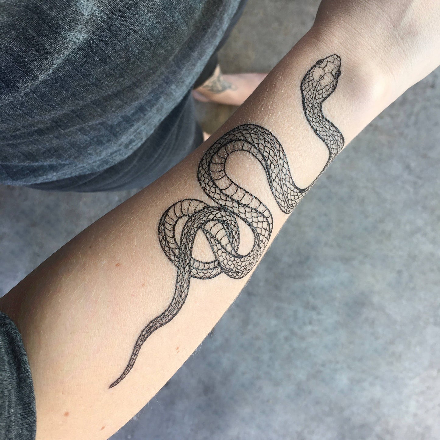 Nature Tats - Garden Snake Temporary Tattoo: 1-Pack