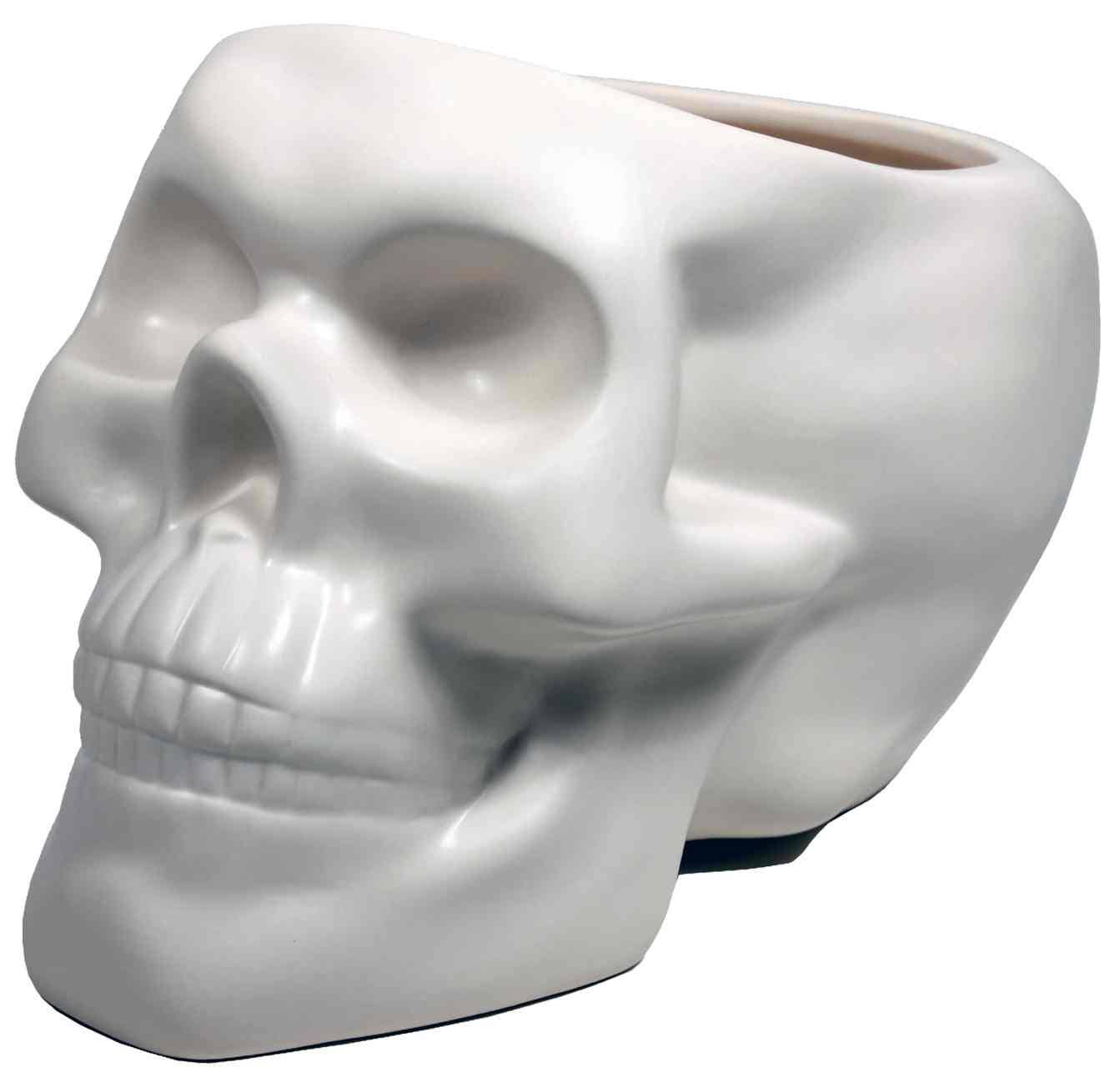 Bone Skull Planter