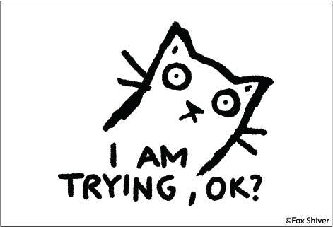 Magnet - Ephemera - I Am Trying OK
